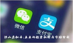 洪山虚拟币：未来的投资
