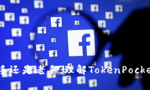   如何在TokenPocket上顺利兑换代币？新手指南与常见问题解答 / 

 guanjianci TokenPocket, 代币兑换, 数字资产管理 /guanjianci 

随着区块链技术的快速发展，代币的交易和管理变得日益重要。TokenPocket作为一个多链数字钱包，为用户提供了便利的代币管理和交换功能。然而，对于新手用户来说，如何在TokenPocket上顺利兑换代币，可能还是一个比较陌生的过程。本文将详细介绍TokenPocket的代币兑换功能，并解答用户在兑换过程中的常见问题。

什么是TokenPocket？
TokenPocket是一款多链数字钱包，支持多种区块链资产的存储、管理和交易。用户可以在TokenPocket上便捷地管理自己的数字资产，并且进行代币兑换、转账、参与去中心化金融（DeFi）等操作。由于TokenPocket支持多种主流公链，如以太坊、波场、EOS等，用户可以跨链进行资产管理，提升了代币的流动性。

如何在TokenPocket上兑换代币？
在TokenPocket上兑换代币的过程非常简单，用户只需按照以下步骤操作：

1. **下载并安装TokenPocket**: 访问官方网站或应用商店，下载TokenPocket钱包并完成安装。注册一个新账号，确保你的钱包安全。

2. **创建或导入钱包**: 如果你是新用户，可以选择创建一个新钱包，系统会生成一个助记词和私钥，确保妥善保管。如果你已有钱包，可以选择导入现有钱包。

3. **充值资产**: 在进行代币兑换之前，需确保钱包中有足够的数字资产。你可以通过其他钱包进行转账，或购买相关代币后充值到TokenPocket。

4. **进入兑换功能**: 打开TokenPocket应用，找到主界面中的“交易”或“兑换”选项，点击进入代币兑换页面。

5. **选择代币**: 在兑换页面中，选择你想要兑换的代币和目标代币，输入你要兑换的金额，系统会自动计算兑换比例和手续费。

6. **确认交易**: 检查兑换信息后，点击确认交易，输入密码或进行指纹/人脸识别等安全验证。

7. **查看交易状态**: 确认后，可以在交易记录中查看交易状态，待交易确认后，代币将自动转入你的钱包中。

8. **安全退出**: 交易完成后，确保安全退出TokenPocket，保护你的数字资产安全。

使用TokenPocket兑换代币需要注意哪些事项？
在TokenPocket上兑换代币时，有几个事项需要特别注意：

1. **手续费**: 兑换不同代币时，手续费可能会有所不同，在确认交易前务必检查清楚手续费设置，以免产生意外支出。

2. **网络状态**: 在进行代币兑换时，务必注意网络状态。在网络拥堵时，可能会导致交易确认时间延长，建议在网络畅通时进行交易。

3. **安全性**: 确保你的钱包私钥和助记词安全，千万不要将其泄露给他人。TokenPocket会提供一定的安全保障，但用户自身的安全意识同样重要。

4. **代币流通性**: 在选择要兑换的代币时，需注意目标代币的流通性以及市场行情，规避潜在的投资风险。

5. **操作流程**: 新手用户在初次使用TokenPocket进行代币兑换时，可以先进行小额交易测试，熟悉整个操作流程，再进行大额交易。

为什么选择TokenPocket进行代币兑换？
TokenPocket作为一款功能强大的钱包，其代币兑换功能有几个独特的优势：

1. **多链支持**: TokenPocket支持多种主流公链，用户可以在一个平台上进行多种代币的管理和兑换，提升了交易的便利性。

2. **用户友好的界面**: TokenPocket的用户界面设计，即使是没有技术背景的新手用户也能快速上手，完成代币兑换操作。

3. **高安全性**: TokenPocket拥有先进的安全措施，包括私钥加密、数字签名等，让用户的资产安全得到有效保障。

4. **快速交易**: TokenPocket能够在较短时间内完成代币兑换，适合快速交易需求的用户。

5. **社区支持**: TokenPocket有庞大的用户社区，用户可以在社区中分享经验、互相帮助，提高了用户的使用体验。

TokenPocket代币兑换常见问题解答
在使用TokenPocket进行代币兑换时，用户可能会遇到一些常见问题，以下是对这些问题的详细解答：

1. TokenPocket支持哪些代币兑换？
TokenPocket支持多种主流代币的兑换，包括但不限于以太坊（ETH）、比特币（BTC）、USDT、BNB等。具体可兑换代币的列表会随着市场情况的变化而调整，因此用户在进行代币兑换前，可以在TokenPocket的应用内查看最新的支持兑换的代币信息。

2. 如何确保兑换过程中的交易安全？
在TokenPocket上进行代币兑换时，确保交易安全的措施很多，用户可以通过以下方式提高安全性：

1. **使用强密码**: 设置强而复杂的密码，不要轻易分享。对于高价值资产，最好启用双重验证。

2. **保持软件更新**: 确保TokenPocket应用保持最新版本，获取到最新的安全补丁与功能。

3. **警惕钓鱼网站**: 通过官方网站或可信的应用商店下载TokenPocket，避免访问假冒的钓鱼网站，保护个人信息。

4. **及时备份私钥**: 安全备份你的私钥和助记词，并妥善存放，确保即使设备丢失或损坏仍可找回钱包。

5. **监测账户活动**: 定期检查你的账户活动，与自己的交易记录对比，确保未授权交易的及时发现。

3. 为什么我的兑换交易一直处于待处理状态？
如果你的兑换交易处于待处理状态，可能是以下几个原因：

1. **网络拥堵**: 当前区块链网络流量大，交易确认时间延长，建议耐心等待，可尝试检查网络状态。

2. **手续费不足**: 如果选择的交易手续费过低，可能会导致交易被延迟处理，建议在交易之前检查并适当调整手续费。

3. **节点问题**: 区块链节点可能出现故障，如果遇到问题可以尝试切换节点或稍后重试兑换交易。

4. TokenPocket的客户支持如何联系？
TokenPocket提供多种方式供用户获取客服支持，用户可以通过以下渠道联系客户服务团队：

1. **官方网站**: 访问TokenPocket的官方网站，查看FAQ或者联系客服窗口，获取常见问题的解答。

2. **官方社交媒体**: TokenPocket在社交平台上有官方账号，用户可以通过私信或评论的方式联系客户支持人员，找到有关产品或服务的问题处理。

3. **社区论坛**: TokenPocket用户社区活跃，用户可以在论坛中寻求帮助，与其他用户分享经验，获取建议和解决方案。

4. **内置帮助功能**: TokenPocket应用内部也可能包含帮助和支持的功能，快速找到所需的帮助内容。

5. 如何规避代币兑换中的风险？
在TokenPocket进行代币兑换时，用户应当注意以下风险，并采取措施规避：

1. **市场波动**: 加密货币市场波动大，需随时关注市场信息，选择在合适时机进行代币交易，以降低因价格变化造成的损失。

2. **诈骗风险**: 在使用去中心化交易平台或寻求其他帮助时，警惕陌生网站链接及提供的服务，避免上当受骗。

3. **技术风险**: 由于区块链技术的复杂性，可能会发生智能合约漏洞或技术故障，建议用户了解项目背景，避免盲目投资。

4. **法币政策风险**: 各国对数字货币管理政策不同，需关注本国的法规政策，防止因政策变化带来的损失。

5. **控制投资比例**: 自身资产配置合理，不要将过多资金投入数字货币市场，以分散风险，平衡资产管理。

通过上述详细介绍，希望能帮助用户更顺利地在TokenPocket上进行代币兑换，提升数字资产管理的体验，同时规避常见风险，保持安全性。无论是新手还是老手，理解TokenPocket的代币兑换功能将为你的加密货币之旅提供强有力的支持。