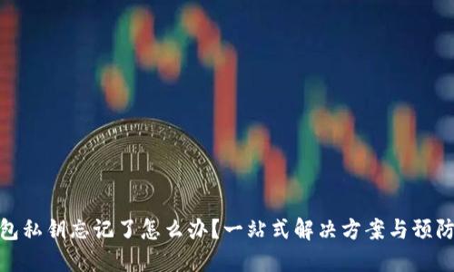 TP钱包私钥忘记了怎么办？一站式解决方案与预防措施