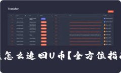 : TP钱包被盗怎么追回U币？全方位指南与保障措施