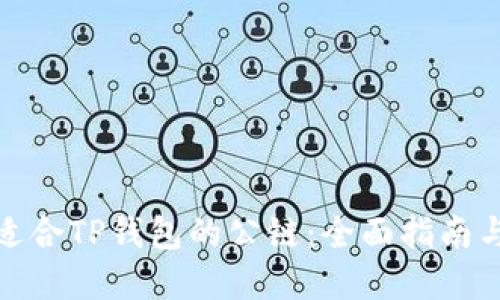 如何选择适合TP钱包的公链：全面指南与实用建议