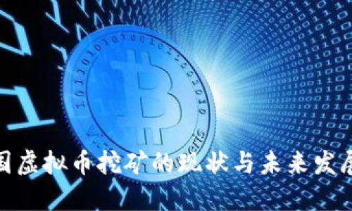 : 中国虚拟币挖矿的现状与未来发展趋势