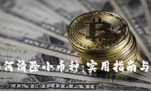 TP钱包如何清除小币种：实用指南与步骤解析
