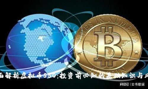 全面解析虚拟币SBO：投资前必知的基础知识与风险