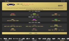 : 深入解析SNC虚拟币：市场趋势与投资机会